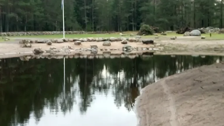 Maastiku kujundus